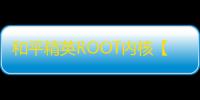 和平精英ROOT内核【小白私端】和平防-外挂